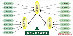 RFID設(shè)備全解析 電子標(biāo)簽、讀寫器及性能參數(shù)與市場(chǎng)報(bào)價(jià)